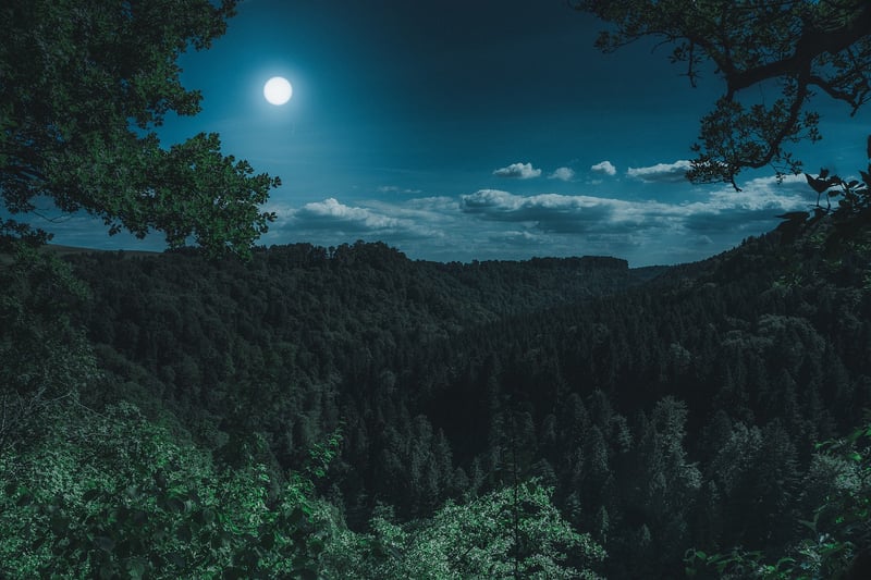 Moonlit Beach